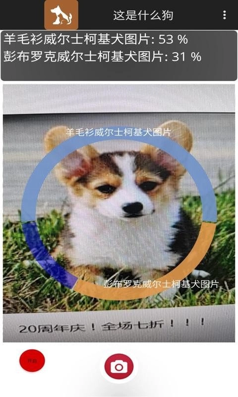 这是什么狗免费原版