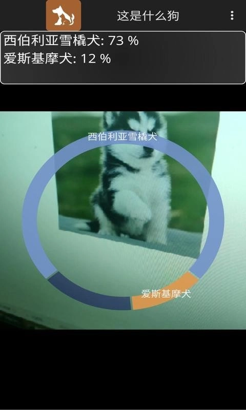 这是什么狗免费原版