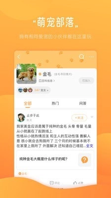宠物部落免费版图3