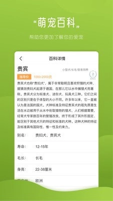 宠物部落免费版图4