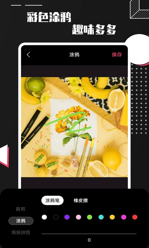 Pro Camera原版