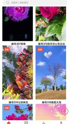 左拍原版图3