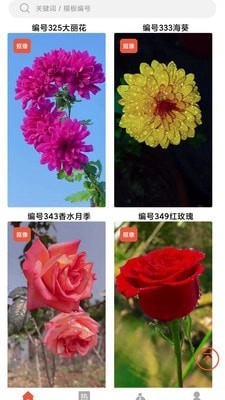 左拍原版图4