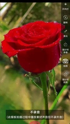 左拍原版图5