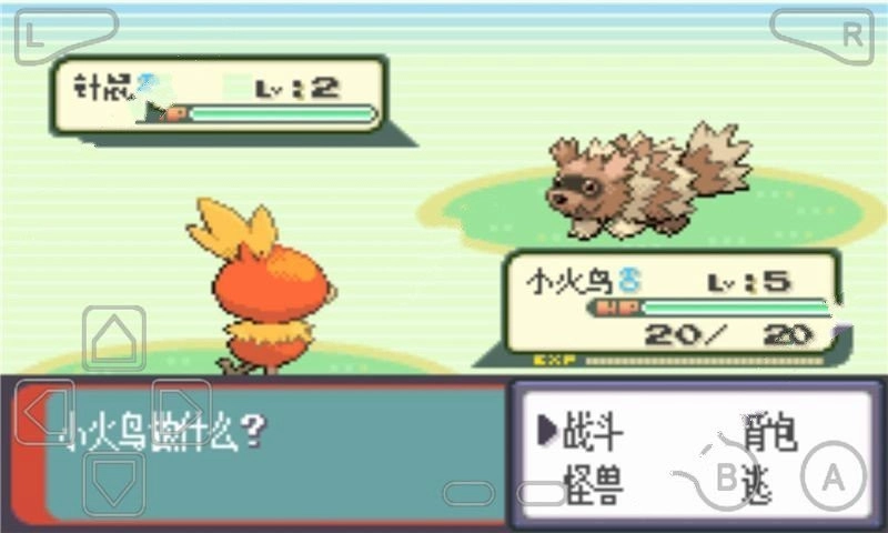 口袋妖怪绿宝石493最终版