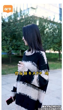 快牛极速版图4