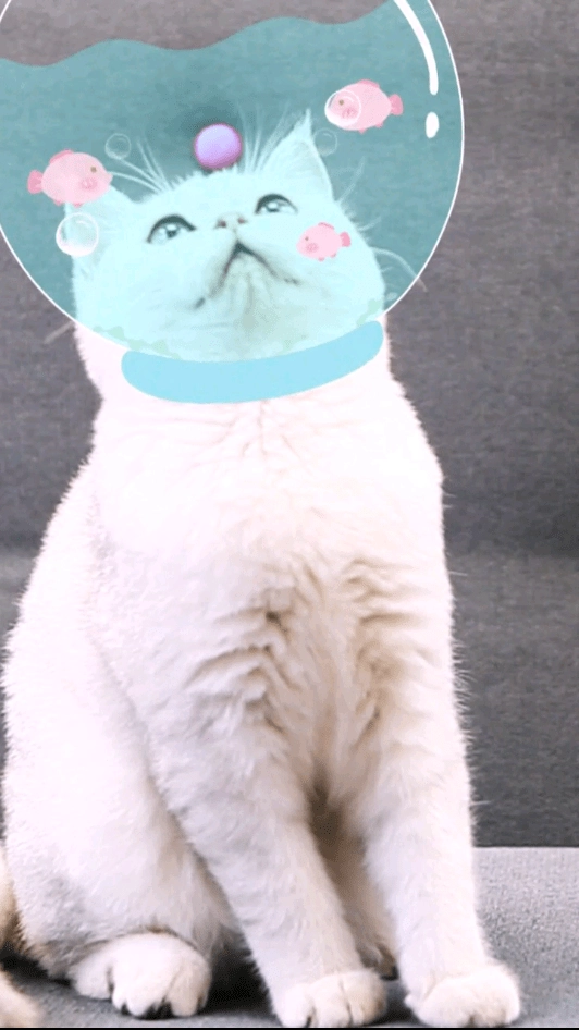 相机潮自拍最新免费版