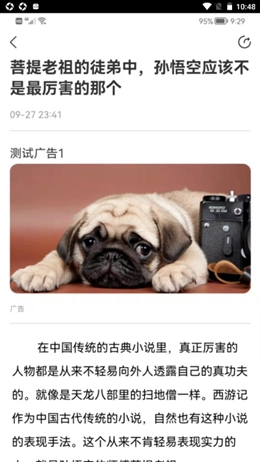 同路评论原版图3