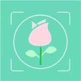 行色识花免费原版