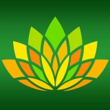 快三安卓免费版