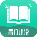 青竹小说无广告版