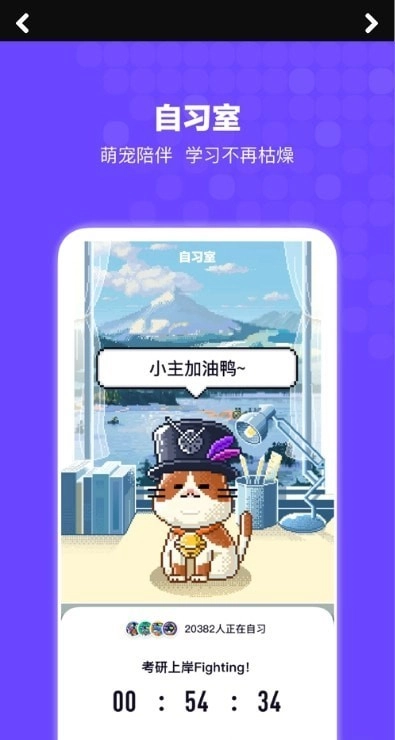 Bingo搜索最新免费版图2