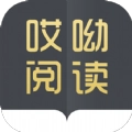 哎呦阅读原版