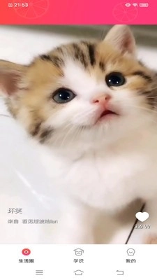 甜柚视频手机正版图2