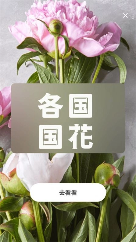 照片转动漫安卓官方版图4
