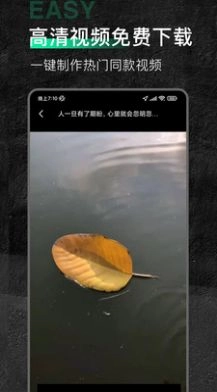 口袋今日素材最新免费版图1