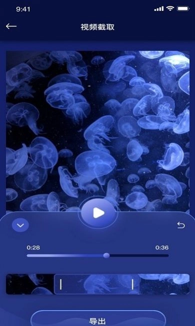 小甜瓜编辑视频直装版