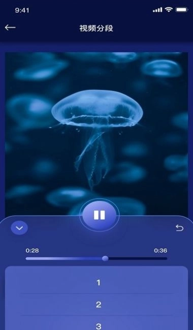 小甜瓜编辑视频直装版