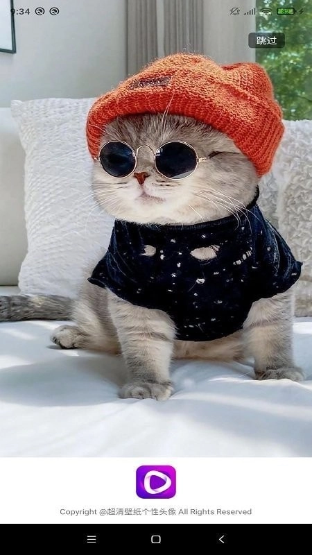 搜图图片多多无广告版