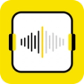 音频大师手机正版