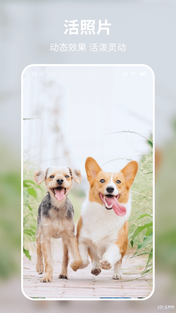 米图秀秀手机最新版图5