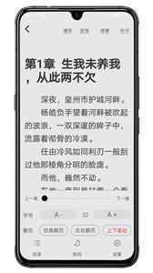 木瓜小说直装版(1)