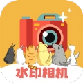 水印p图免费原版