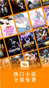 芒果小说正版