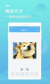 蓝莓去水印安卓版图3