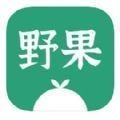 野果阅读追书安卓直装版