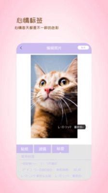 全能美日相机正版图1
