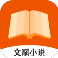 文赋小说纯净版