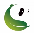 新雅安安卓官方版