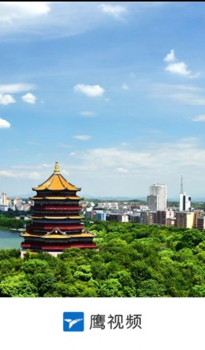 鹰视频最新版图3