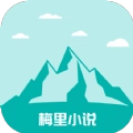梅里小说官方版