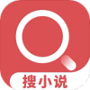 搜小说最新版