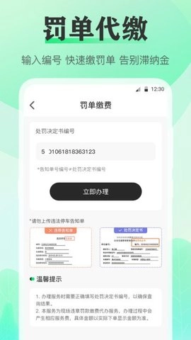 查违章年检安卓版图3