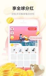 小淘世界手机版图3