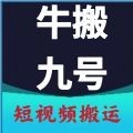 牛搬九号手机版