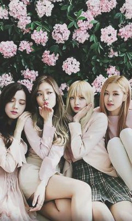 Blackpink Wallpapers免费版图3