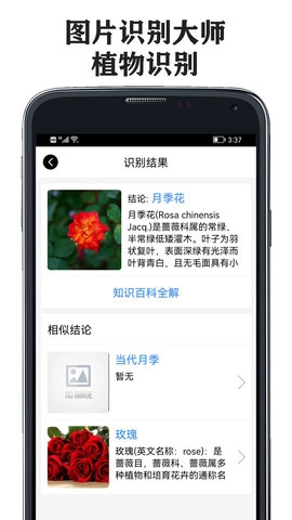 图片识别大师安卓官方版