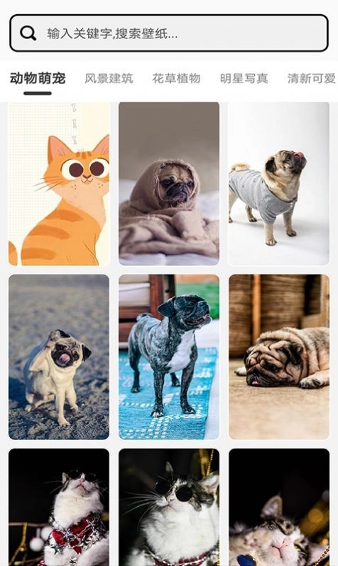 元气小组件手机正版