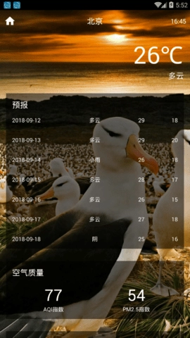 闪电虎天气预报手机免费版