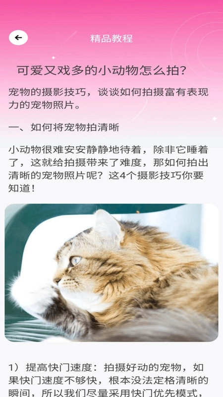 千颜秀最新免费版图1