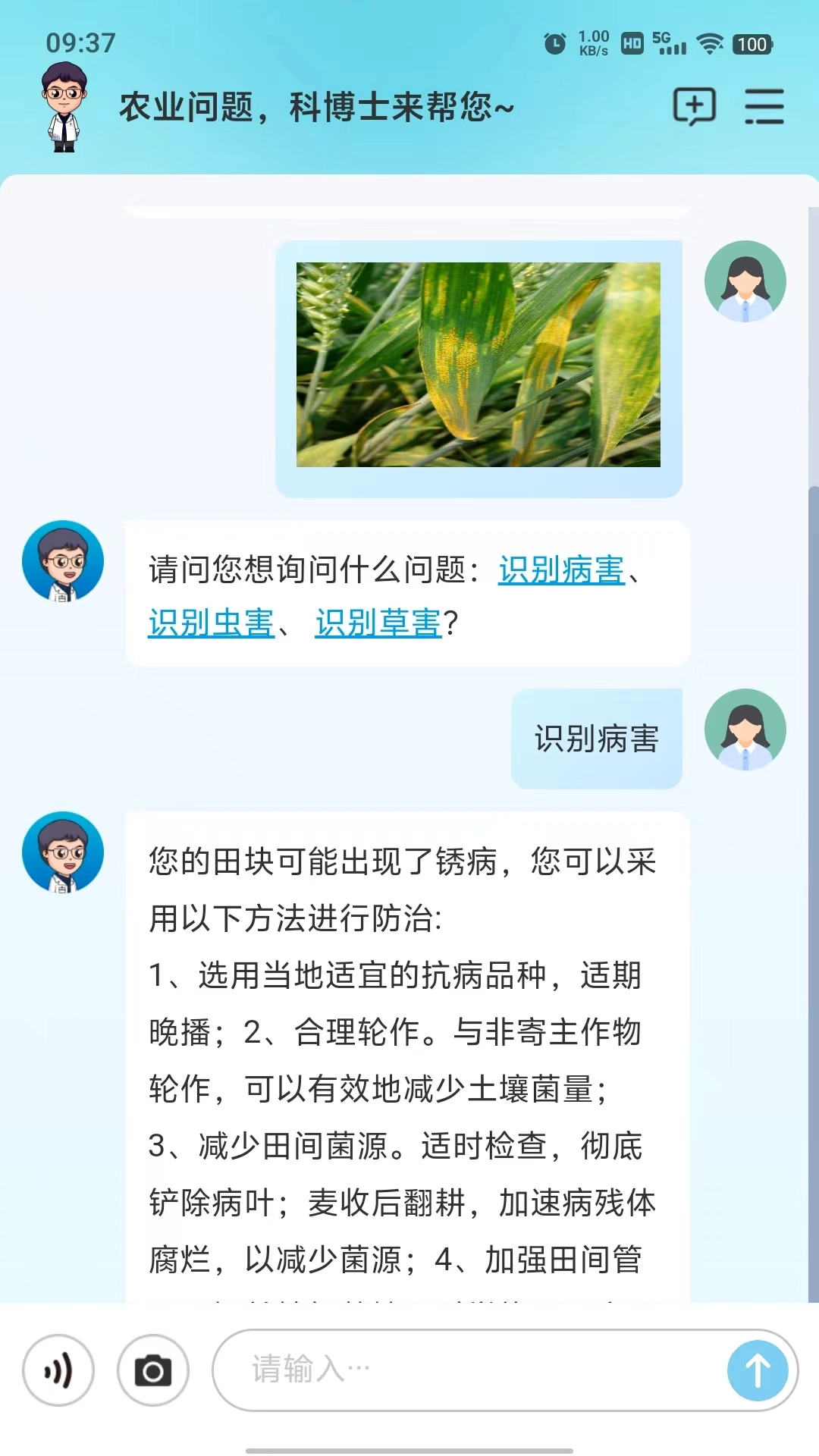 耘苗问原版图3