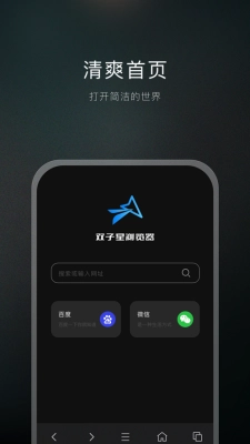 双子星浏览器正版图3