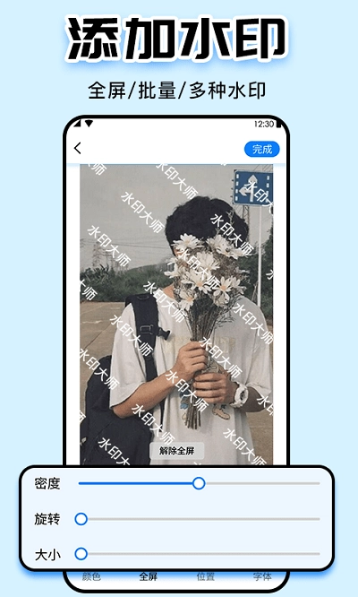 水印大师直装版
