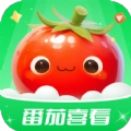 番茄喜看安卓免费版