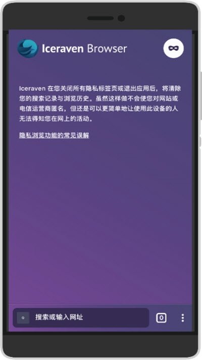 iceraven浏览器安卓免费版(1)