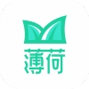 薄荷手机最新版